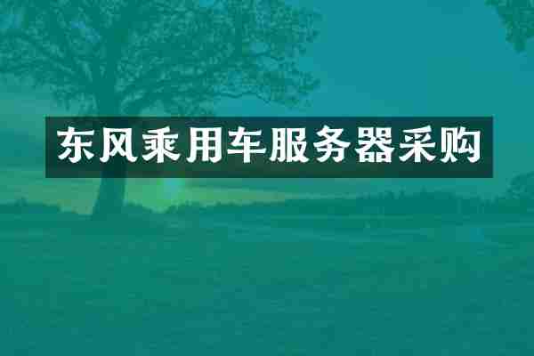 东风乘用车服务器采购