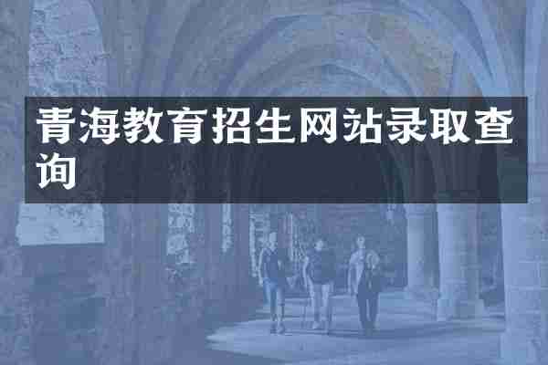 青海教育招生网站录取查询