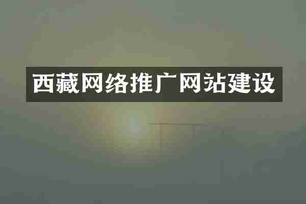 西藏网络推广网站建设