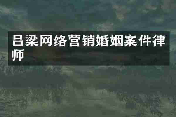 吕梁网络营销婚姻案件律师