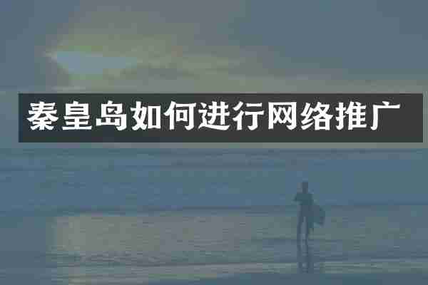 秦皇岛如何进行网络推广
