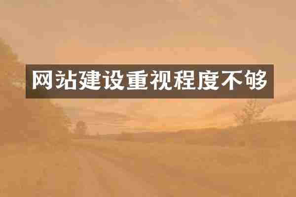 网站建设重视程度不够