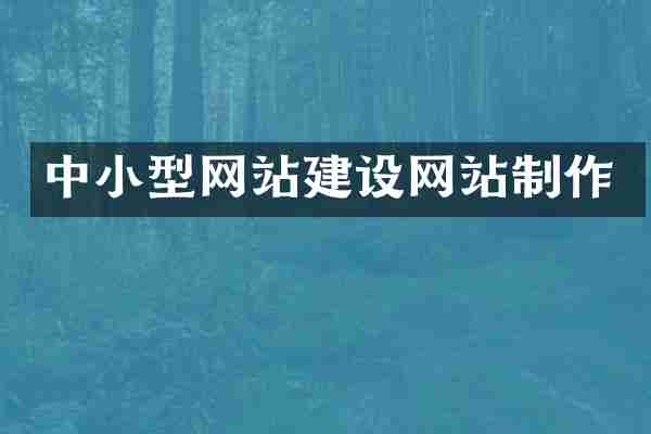 中小型网站建设网站制作