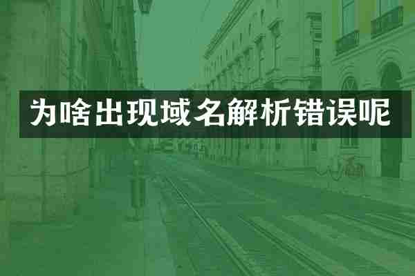 为啥出现域名解析错误呢