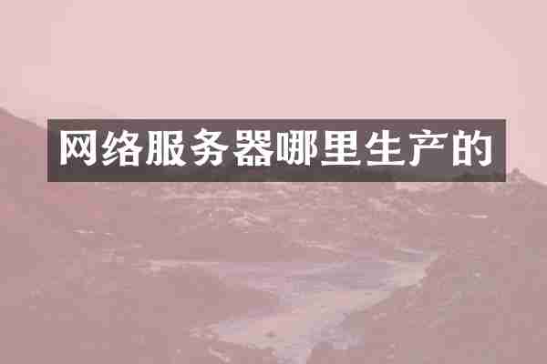 网络服务器哪里生产的