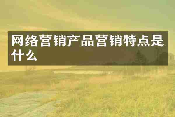 网络营销产品营销特点是什么