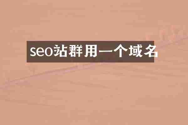 seo站群用一个域名