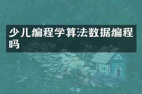 少儿编程学算法数据编程吗