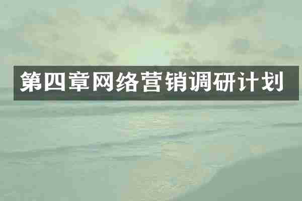 第四章网络营销调研计划