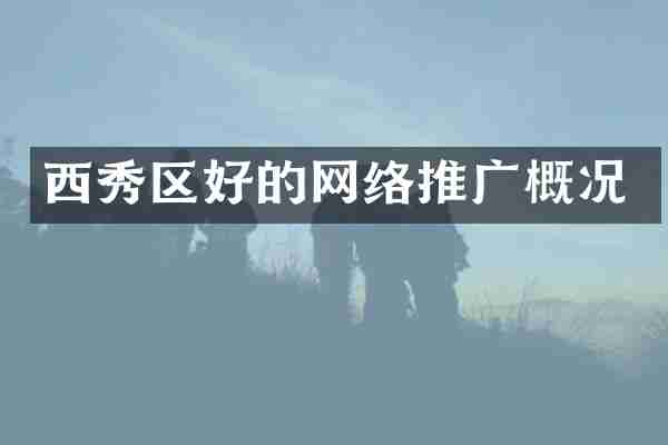 西秀区好的网络推广概况