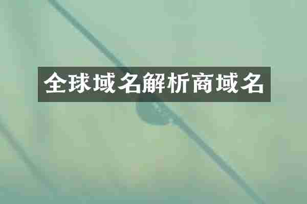 全球域名解析商域名