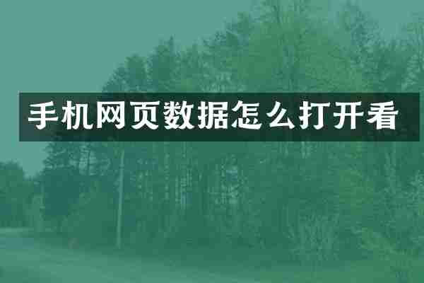 手机网页数据怎么打开看