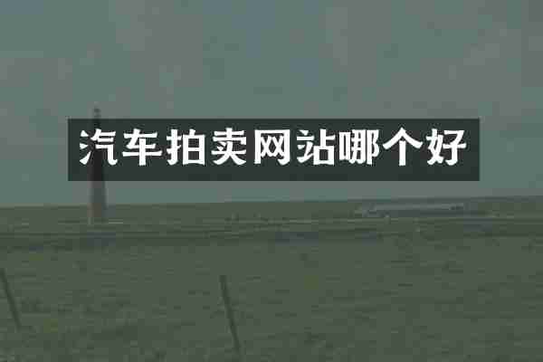 汽车拍卖网站哪个好