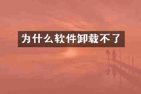 为什么软件卸载不了