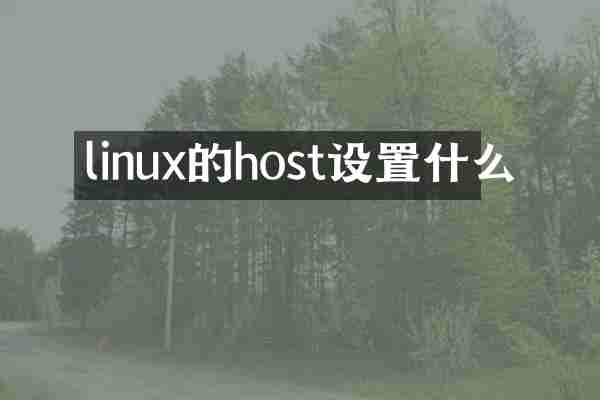 linux的host设置什么