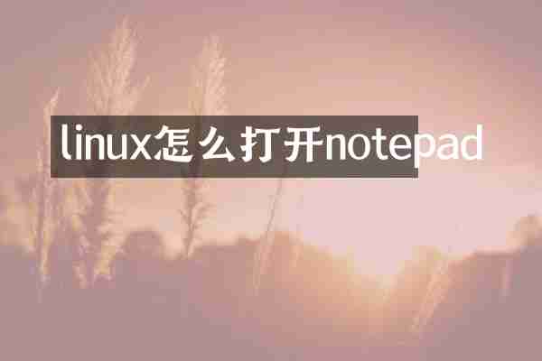 linux怎么打开notepad