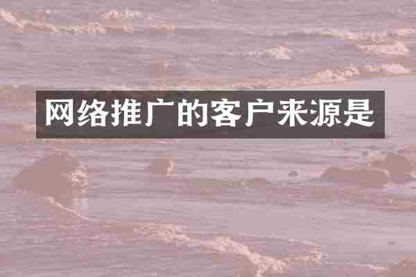 网络推广的客户来源是