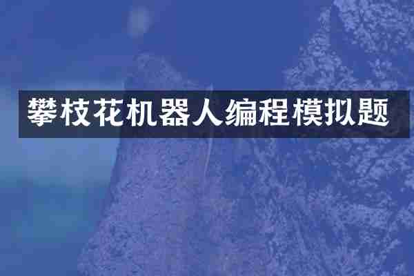 攀枝花机器人编程模拟题
