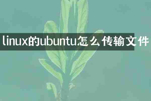 linux的ubuntu怎么传输文件