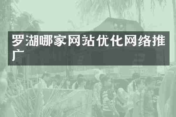 罗湖哪家网站优化网络推广