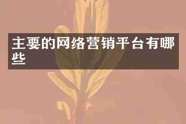主要的网络营销平台有哪些