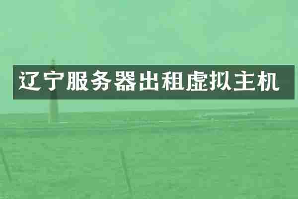 辽宁服务器出租虚拟主机