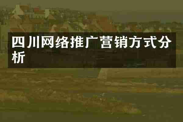 四川网络推广营销方式分析