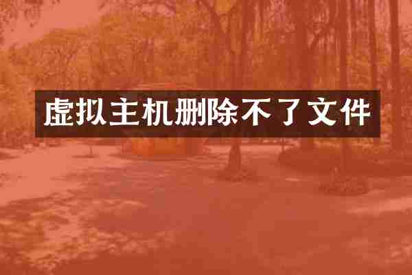 虚拟主机删除不了文件