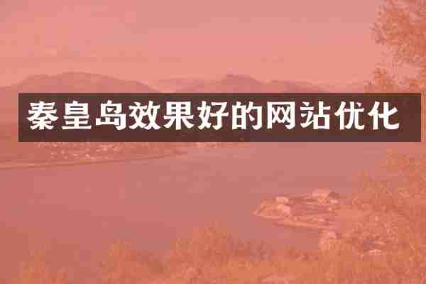秦皇岛效果好的网站优化