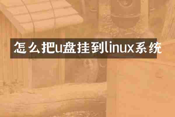 怎么把u盘挂到linux系统