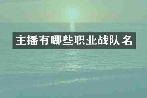 主播有哪些职业战队名