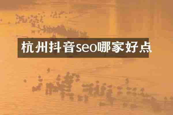 杭州抖音seo哪家好点
