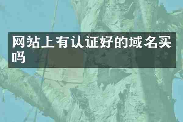 网站上有认证好的域名买吗