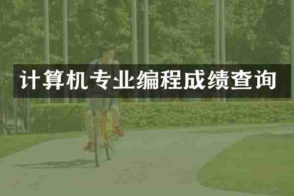 计算机专业编程成绩查询