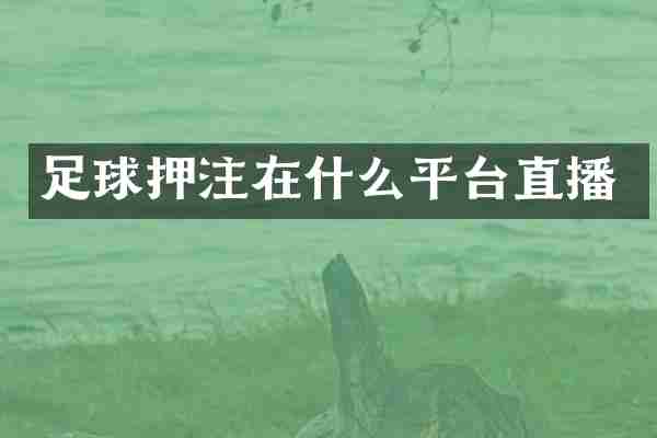足球押注在什么平台直播