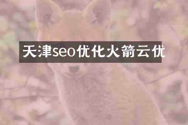 天津seo优化火箭云优