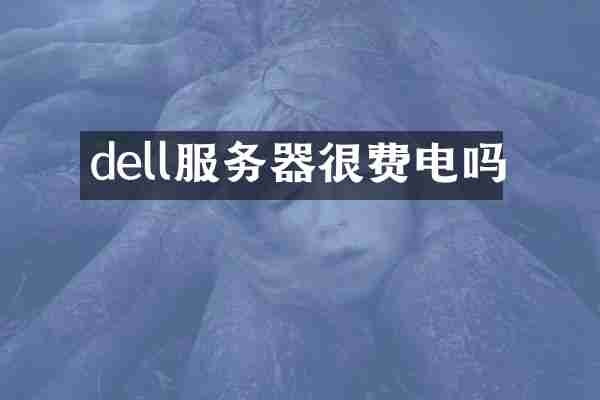 dell服务器很费电吗