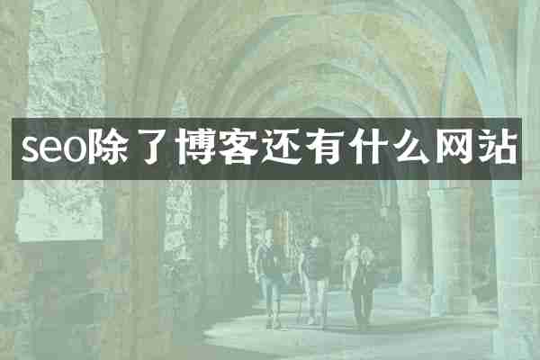 seo除了博客还有什么网站