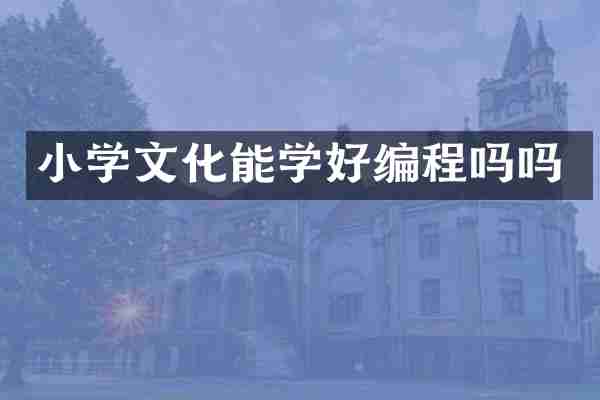 小学文化能学好编程吗吗