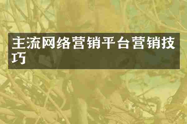 主流网络营销平台营销技巧