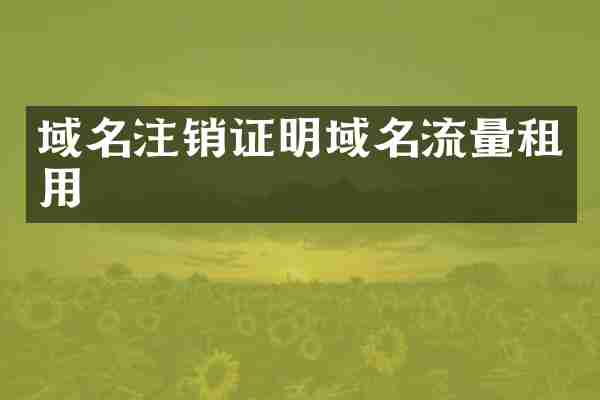域名注销证明域名流量租用