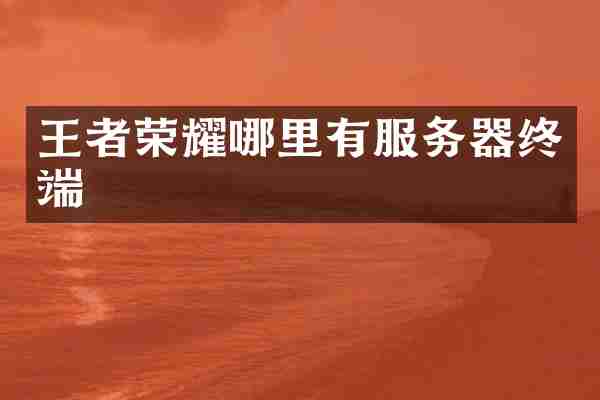 王者荣耀哪里有服务器终端