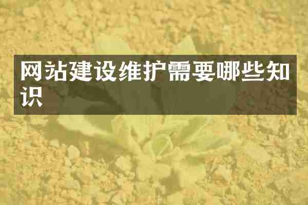 网站建设维护需要哪些知识
