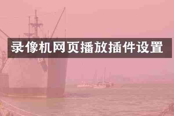 录像机网页播放插件设置