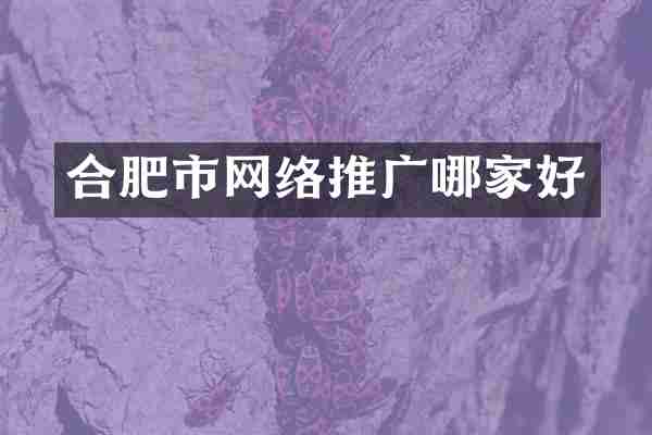 合肥市网络推广哪家好