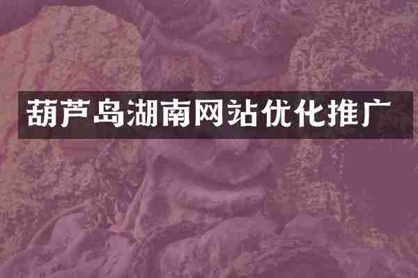 葫芦岛湖南网站优化推广
