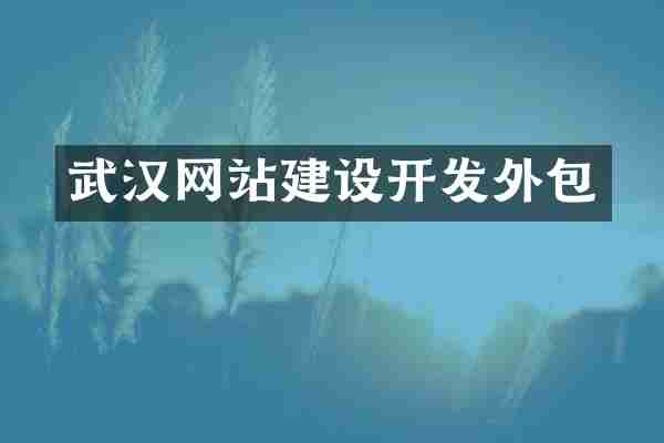 武汉网站建设开发外包
