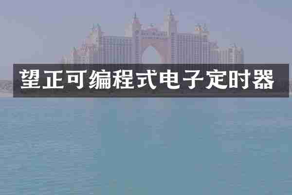 望正可编程式电子定时器