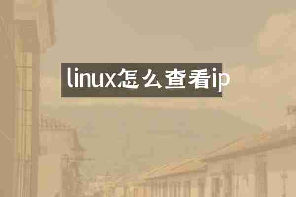 linux怎么查看ip