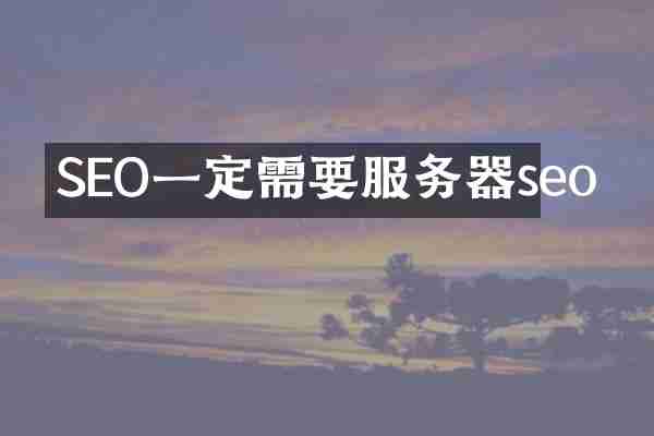 SEO一定需要服务器seo